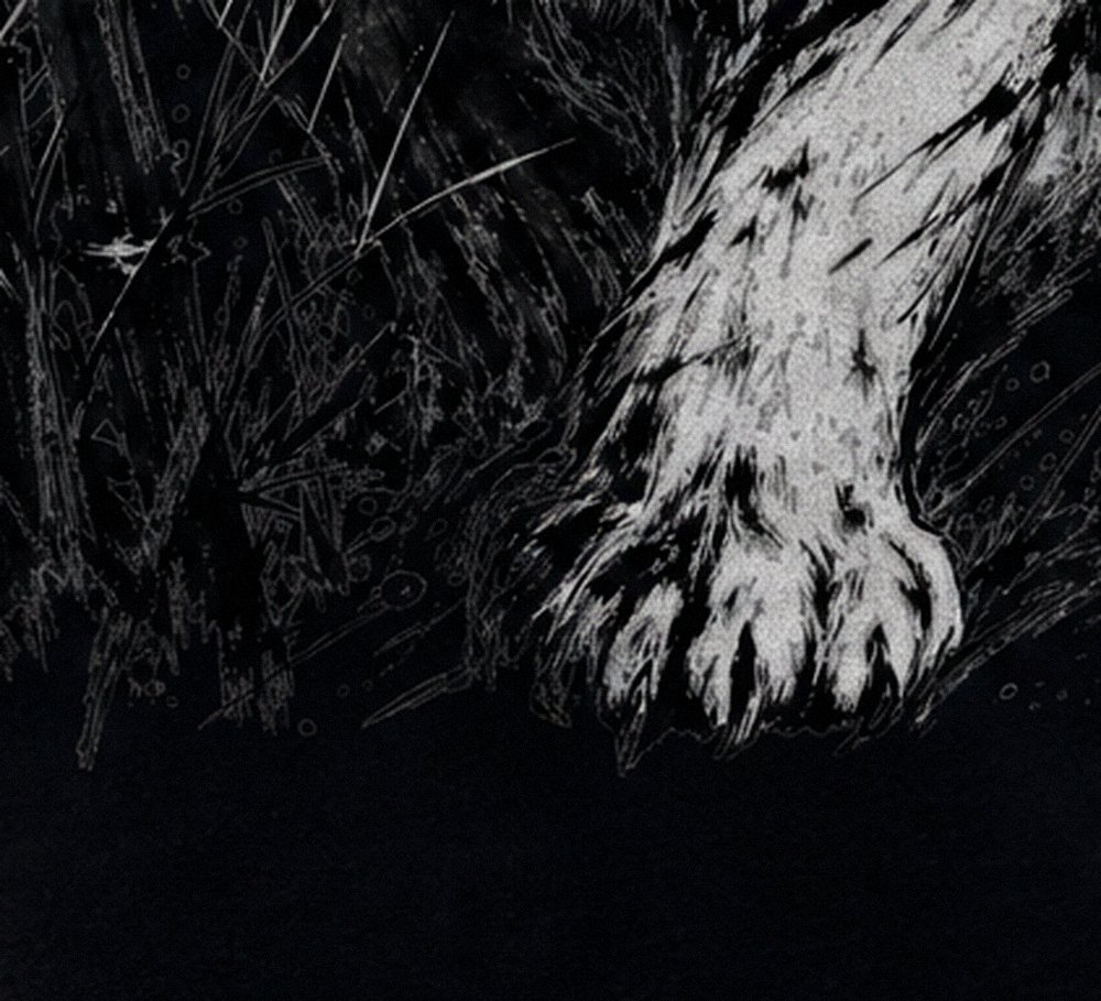Tiger paw print detail